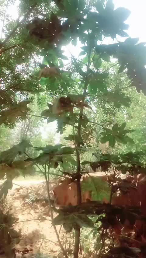 @user787041