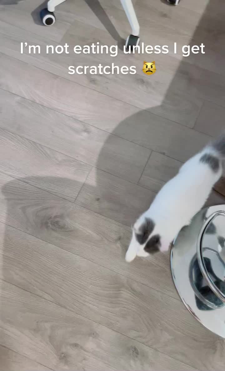 @FerociousRengar