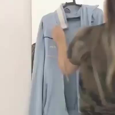 @siyachi