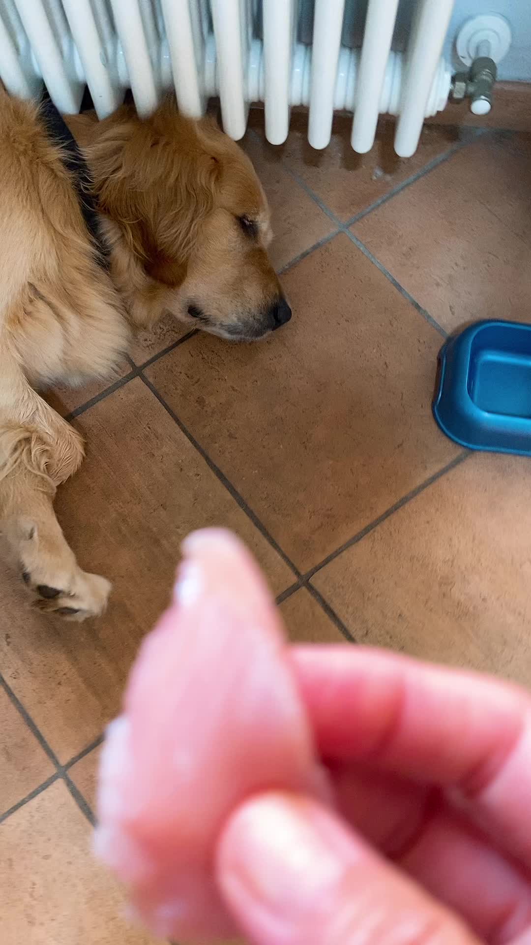 @🐶PENNY🐶