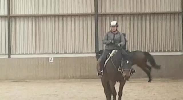 @eventingridersx