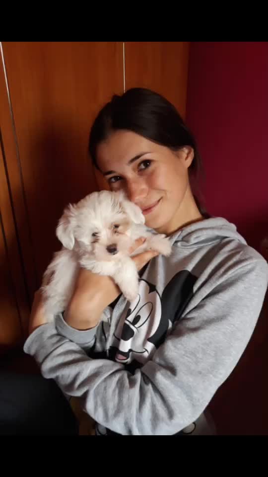 @Dumitru Denisia