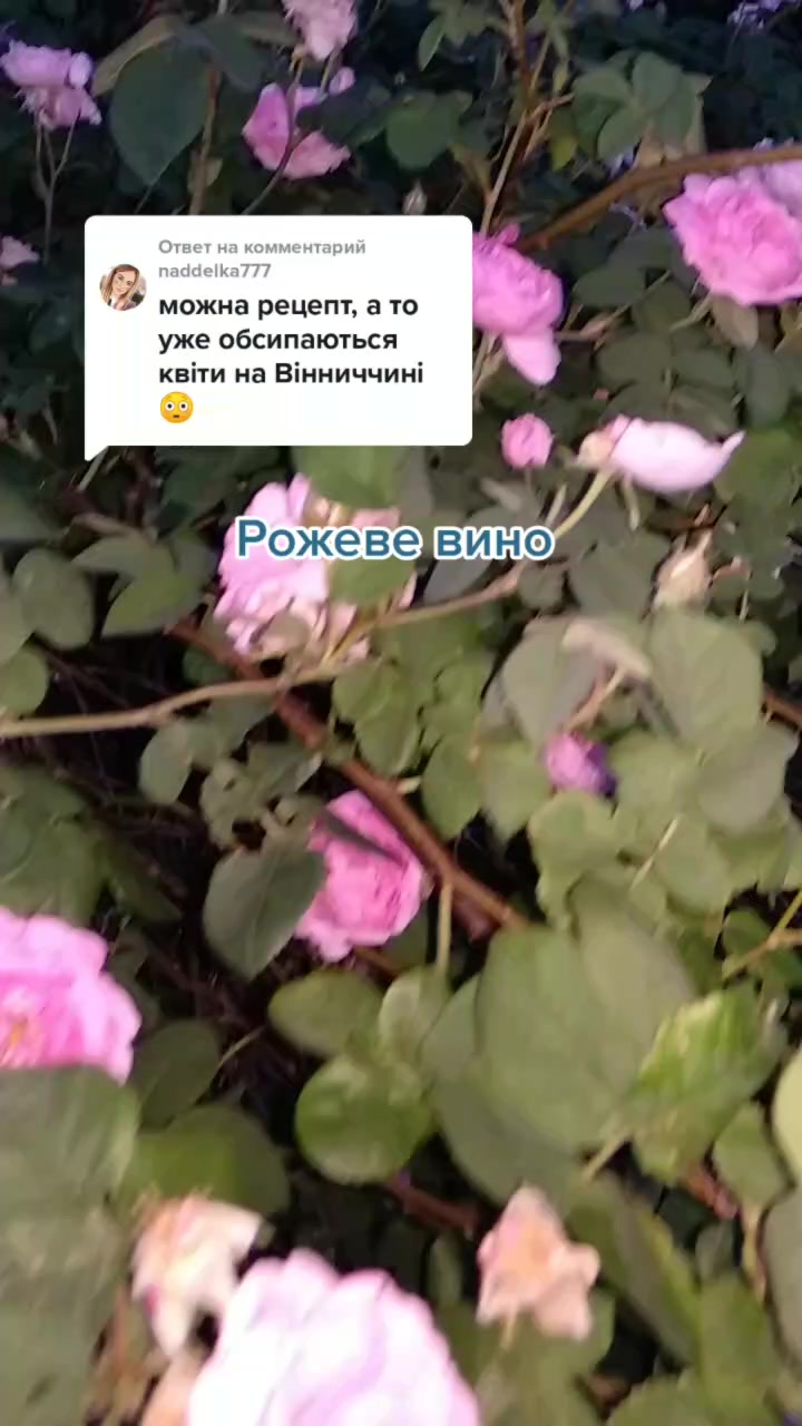 @☀️Сей Хей☀️