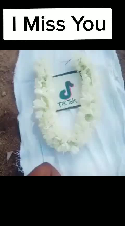 @Shaik Rizwan 067