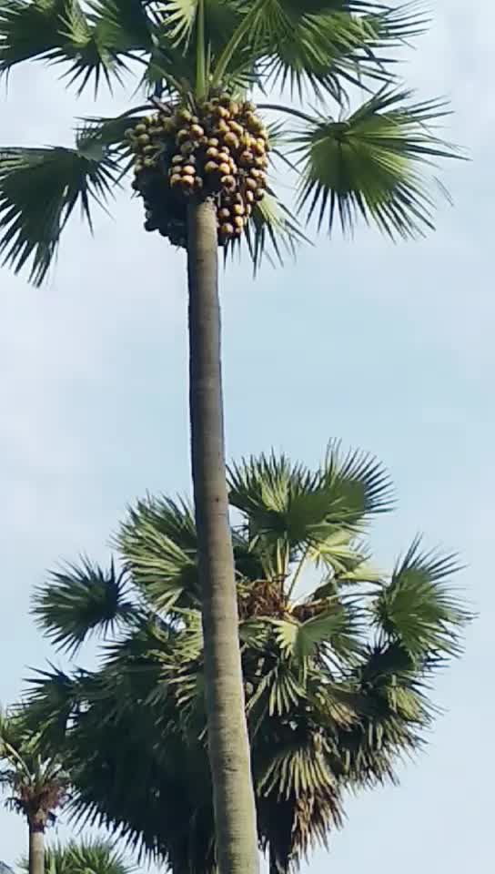 @SRINU VADAPALLI