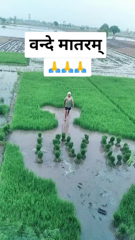 @Rohtash Bhadad