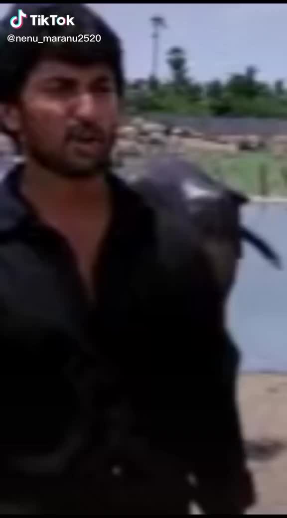 @potti