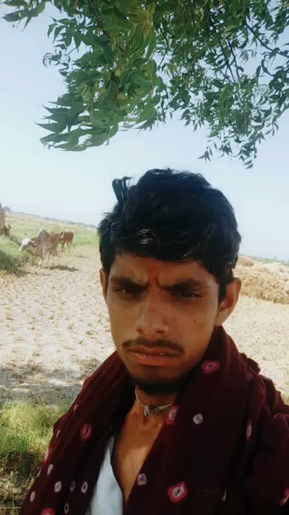 @Sanjay Meer