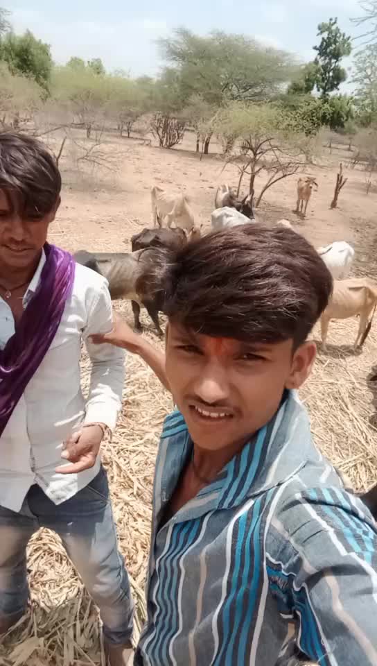 @Bharat Majiyatar42
