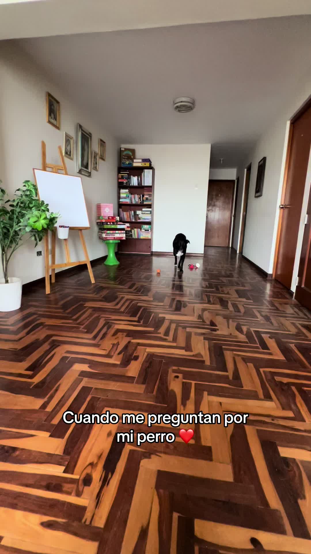 @Camila Caracciolo