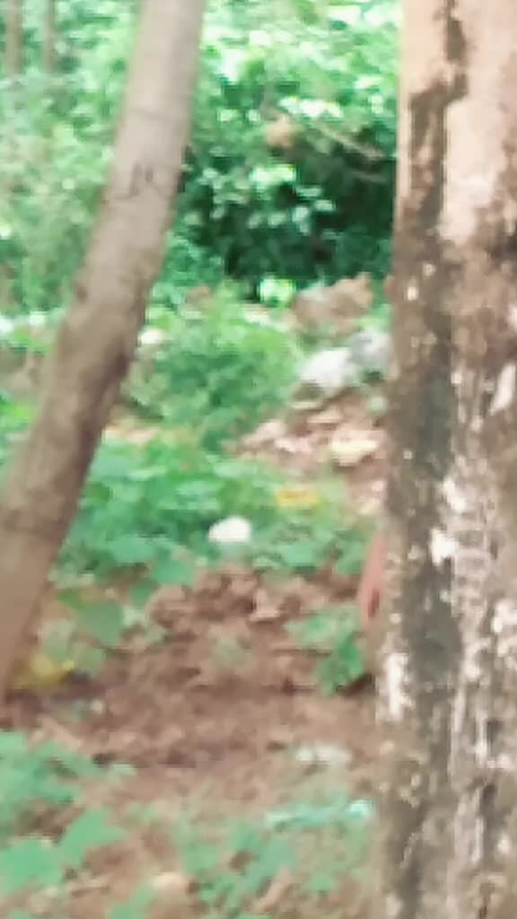@user8759092017482