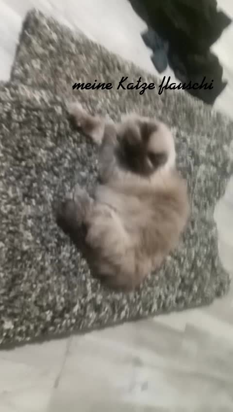 @mia_rssss