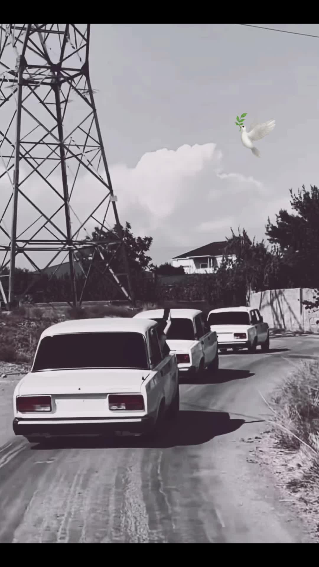 @🔗🕊️