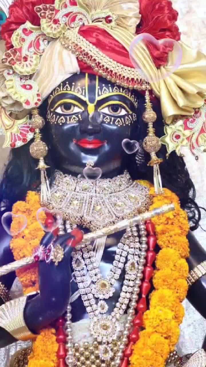 @Sonia Chauhan