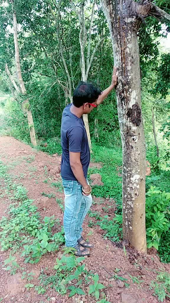 @user2681934076436