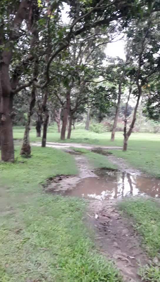 @@lalitmehta