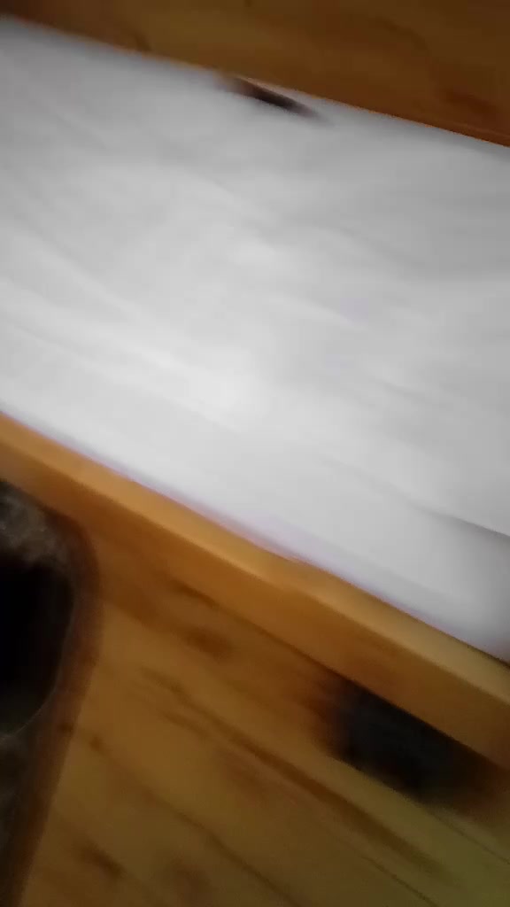 @user7241269800085