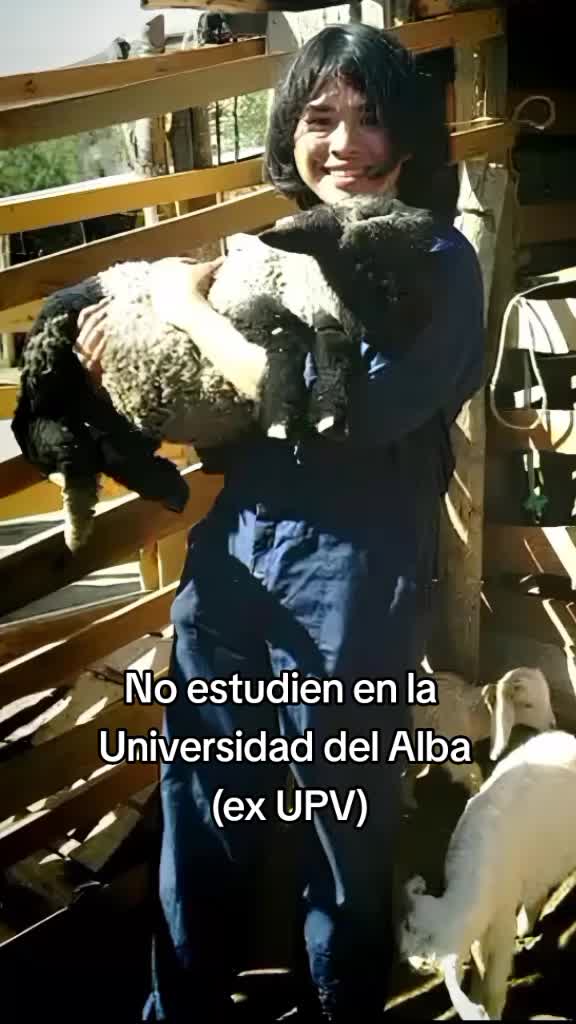 @El Cucarachero🪳🪳🪳