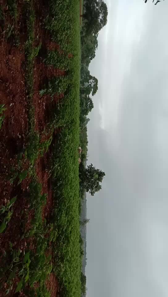 @Sagar Chinnu