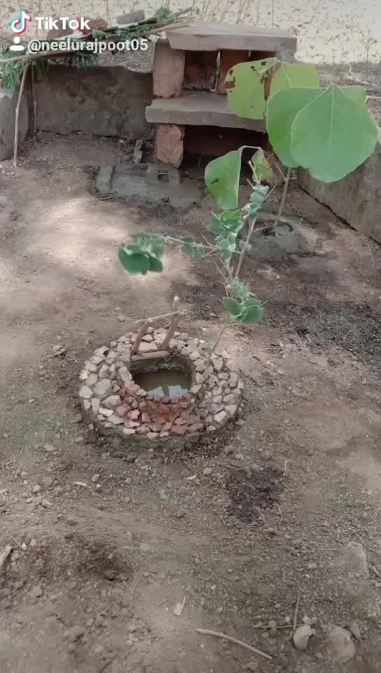 @Neelu Rajpoot