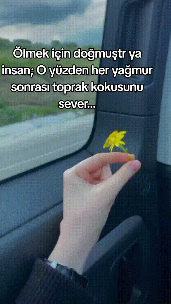 @🇹🇷asi_kiz🇹🇷