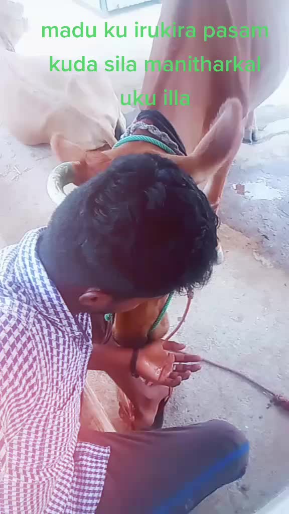 @user770918