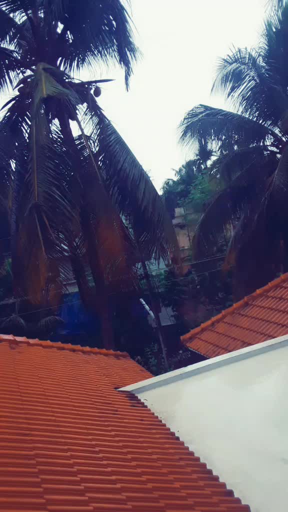 @തൃശ്ശൂർകരി