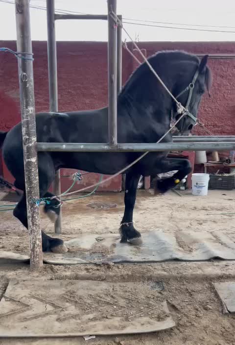 @CuadraSantaMariaa