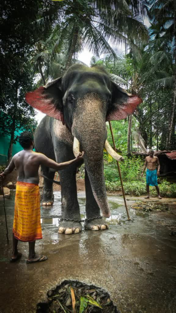 @Vaisakh M