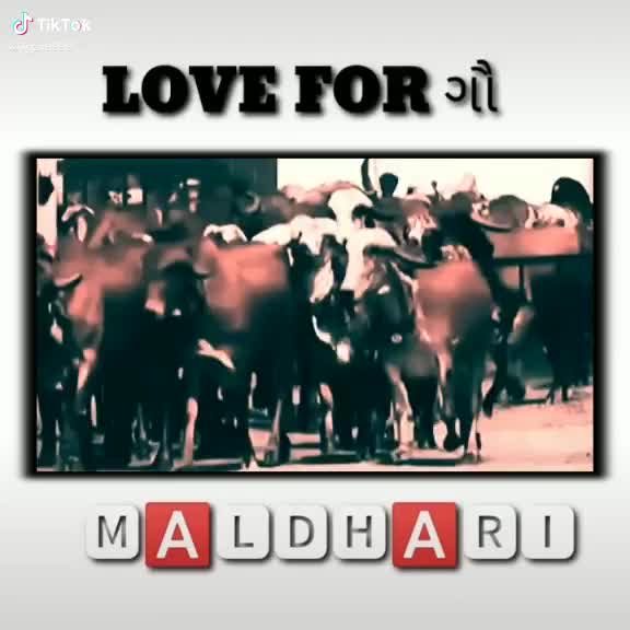 @ગૌ રક્ષક