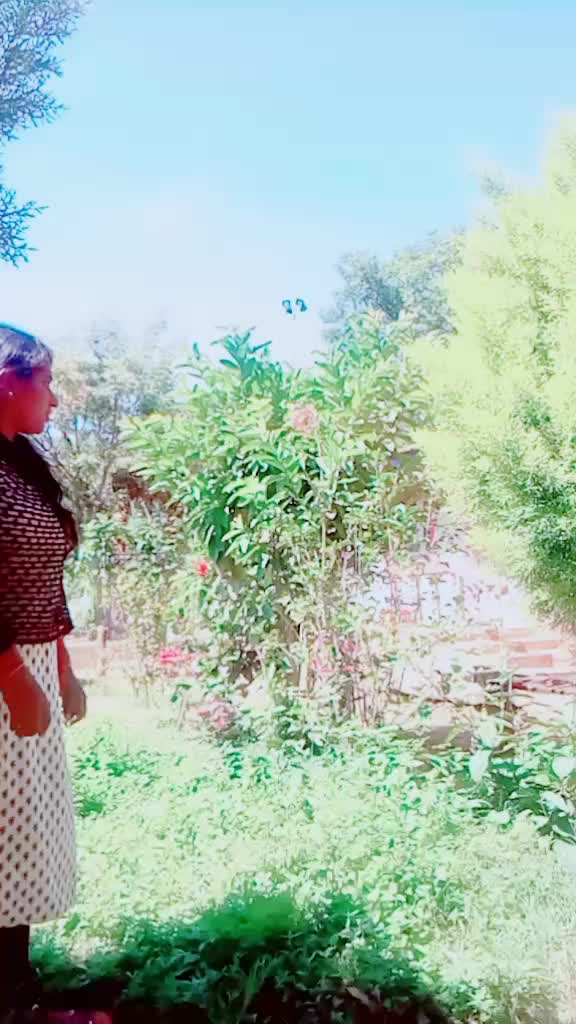 @vidya