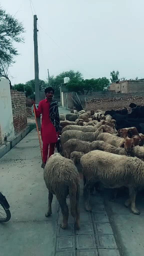 @user8616227522104