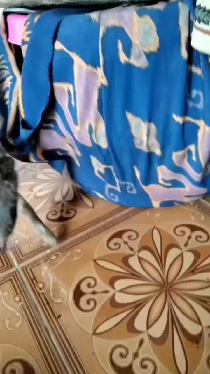 @S&aacute;tira