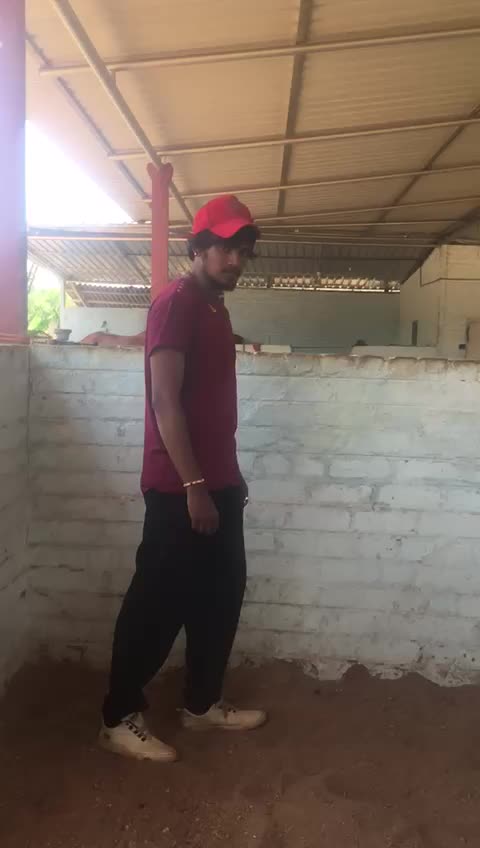 @123chilli