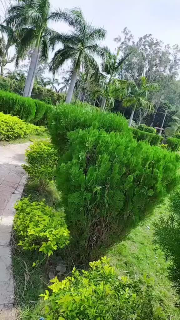 @Jagnnath Pali