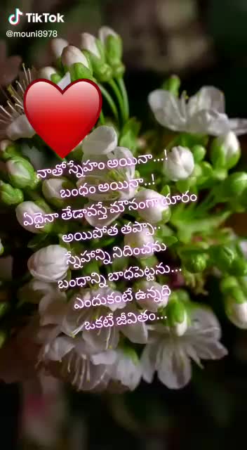 @Balaji N