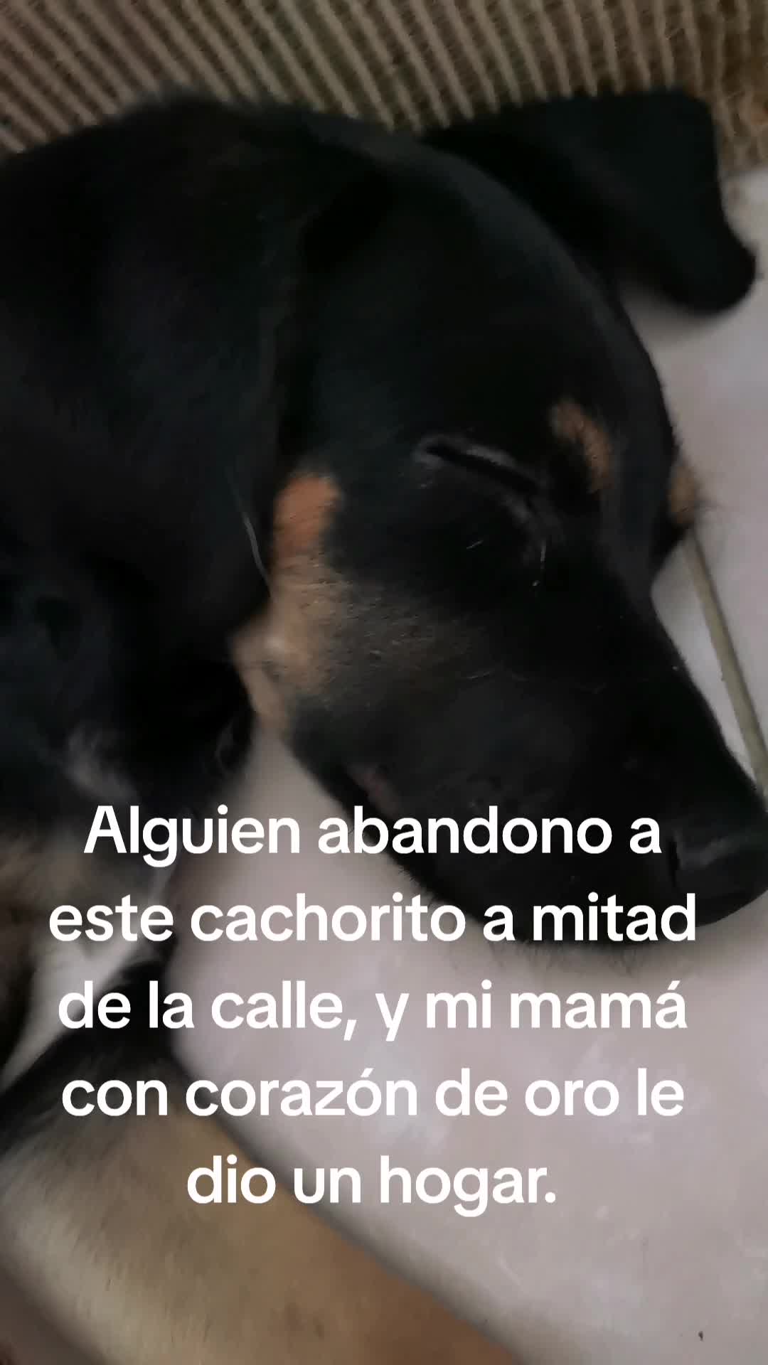 @Jenn Etoile