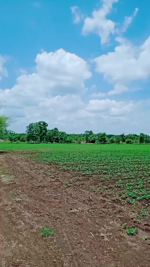 @Mr.Pritesh Ghuge