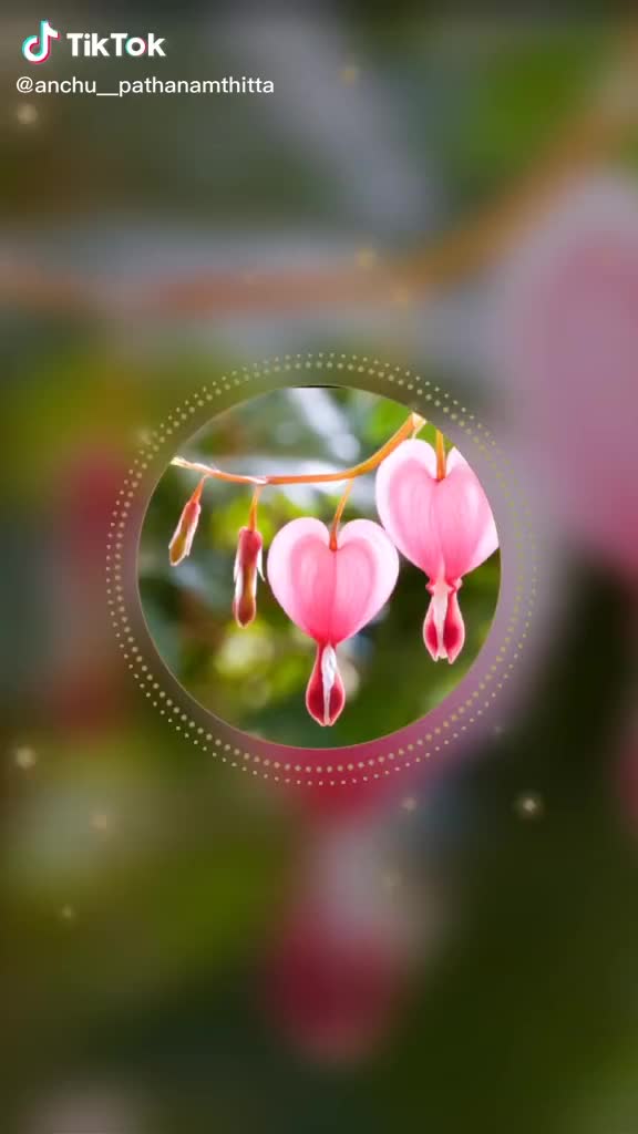 @Deepak...