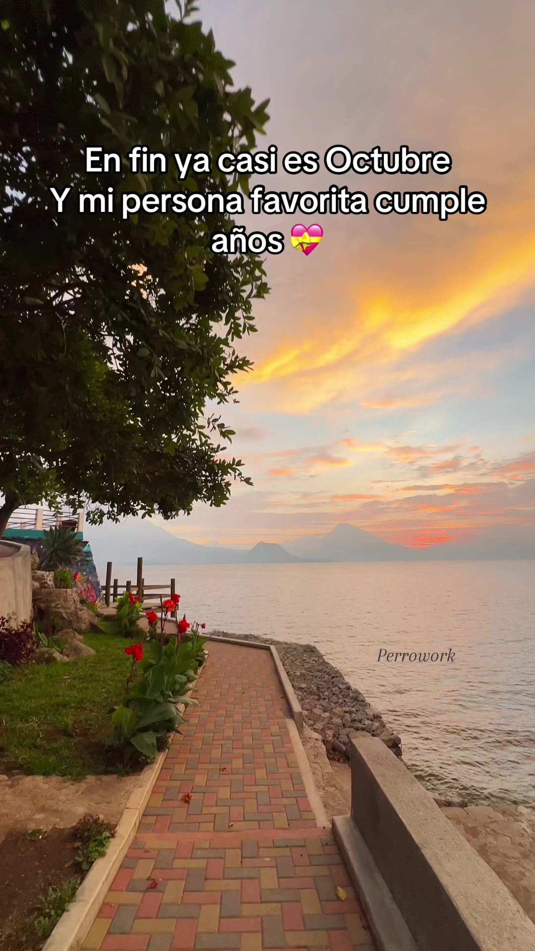 @R.Julio León 🦁 🐝