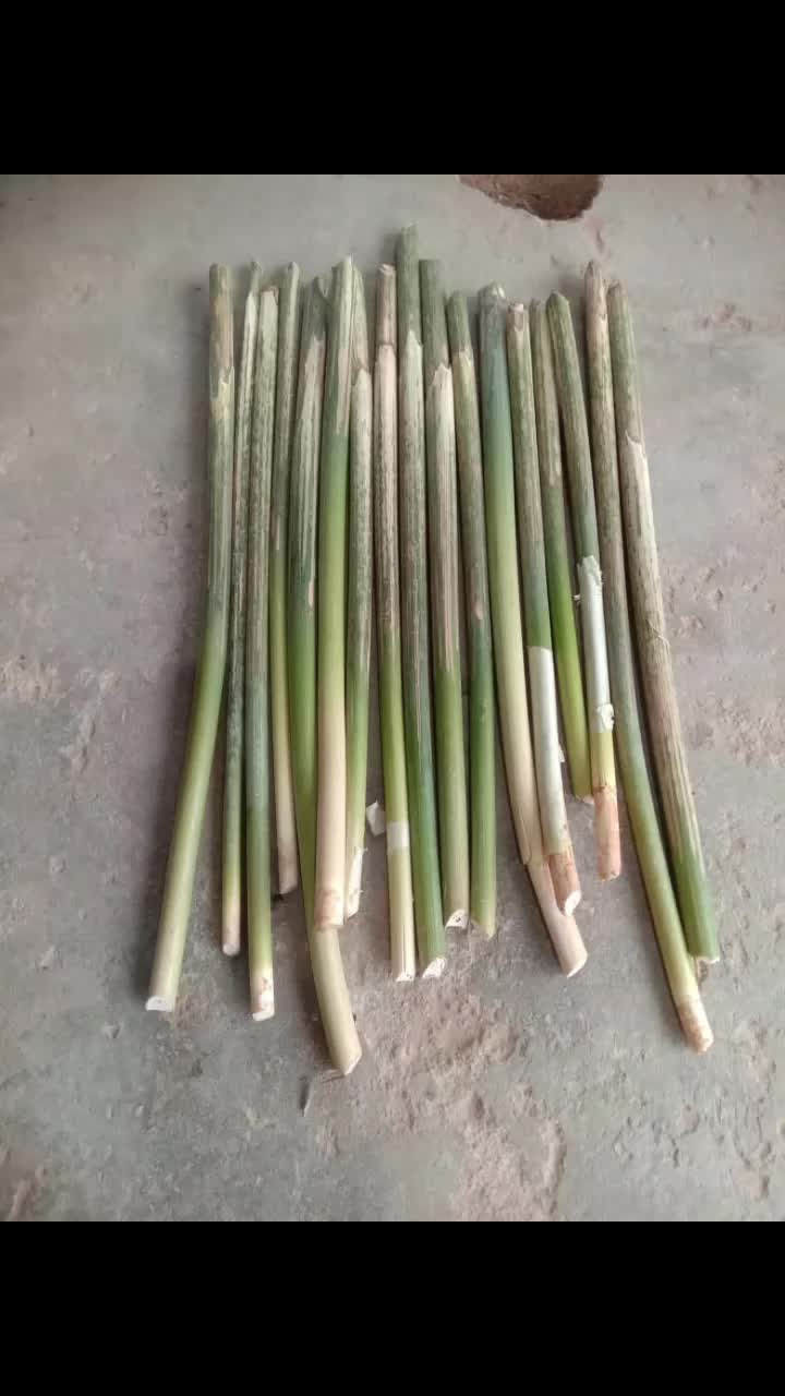 @user50014798571
