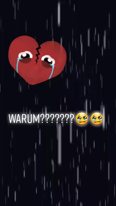 @langneseeis12