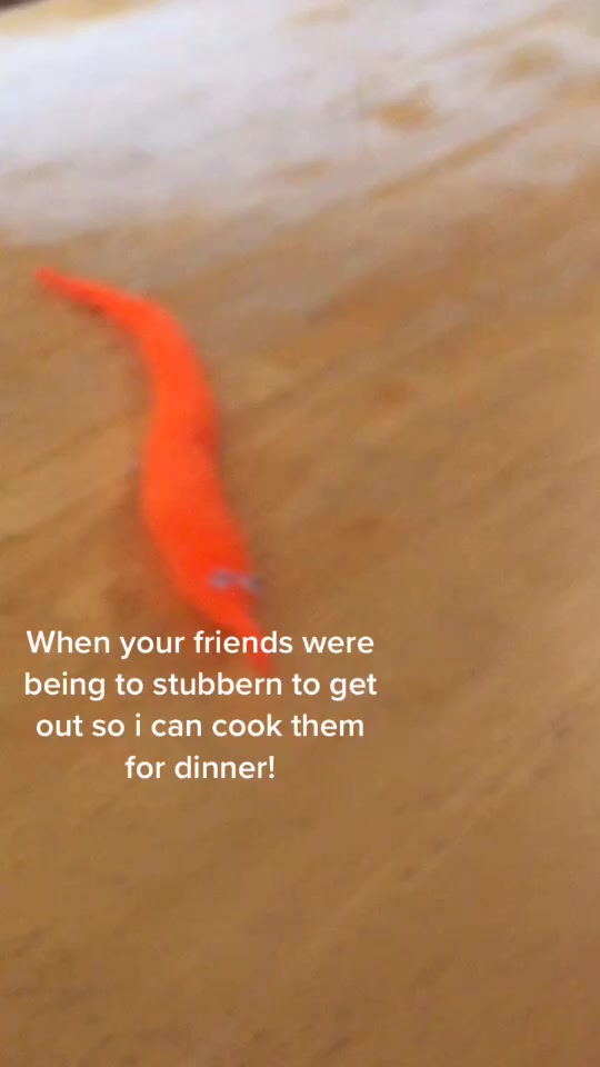 @worms4life