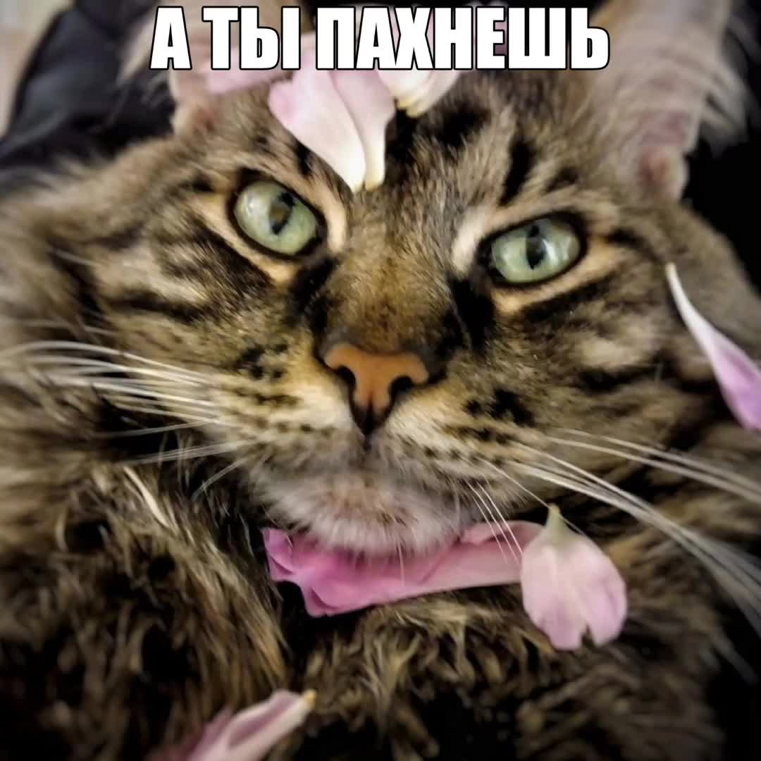 @yemekonawww