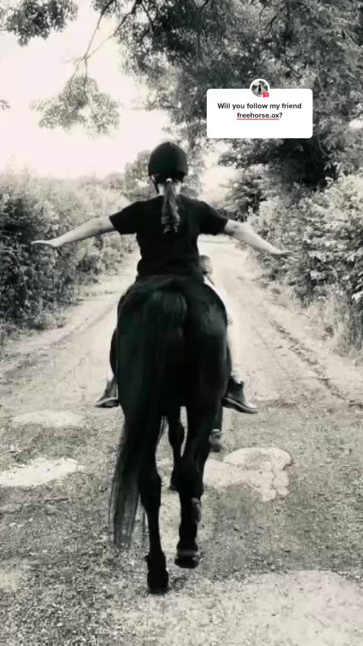 @GO FOLLOW FREEHORSES.OX!!!