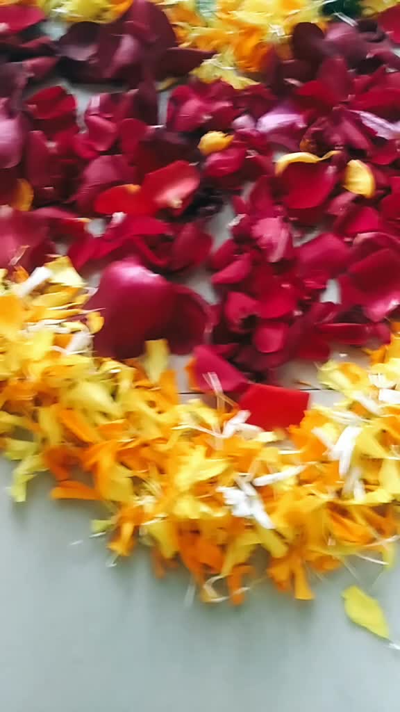 @Neha Kanjar