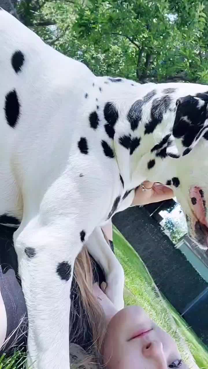 @leslie.hutchings99