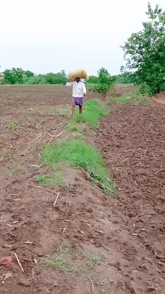 @Venku Gopisety