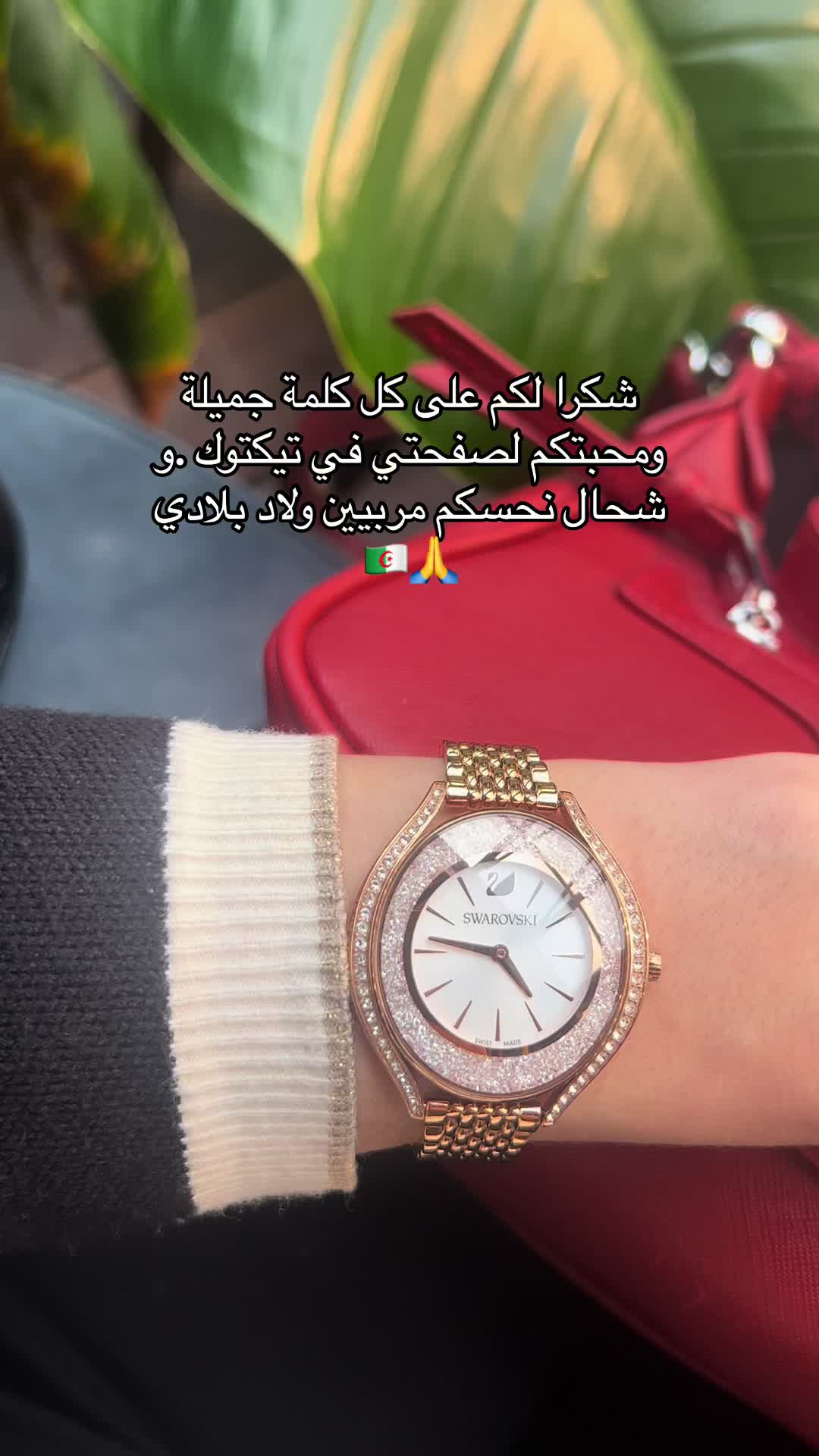 @INAS🇵🇸🇵🇸🇵🇸🇵🇸