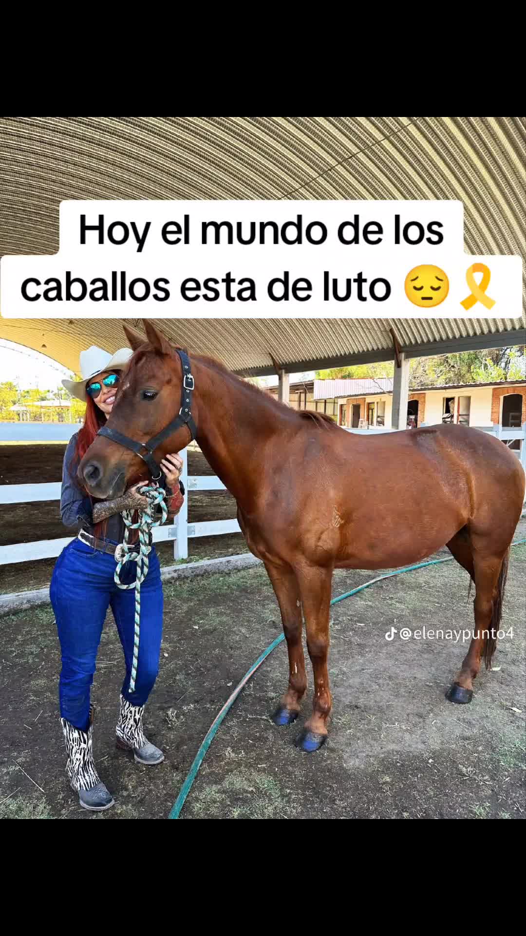 @Guillermo⚡☘️